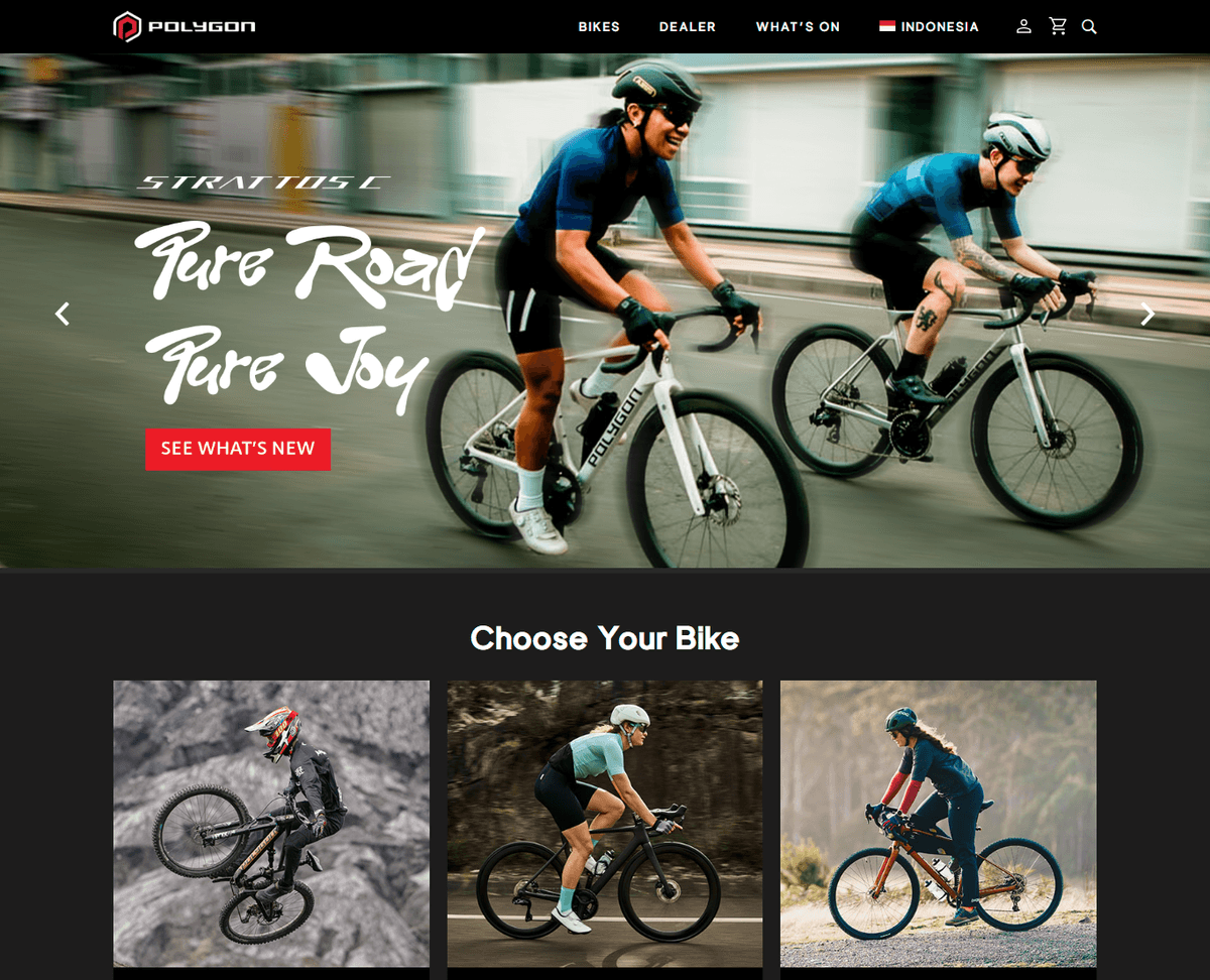 Ecommerce Website Development for Polygon