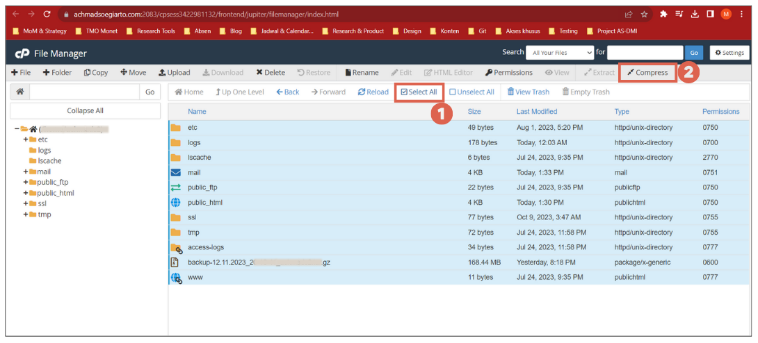 How to Manually Back Up WordPress in cPanel
