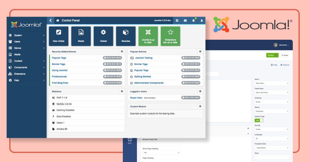E-commerce CMS Recommendations for Your Business