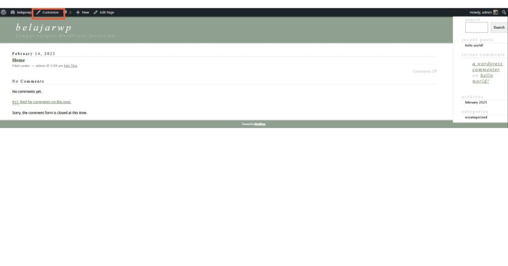 Cara Edit CSS WordPress akses customizer dari front end