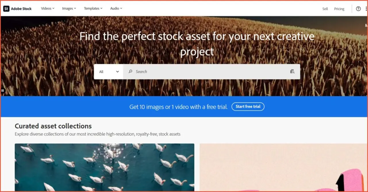Adobe Stock, the flagship stock photo platform within the Adobe ecosystem