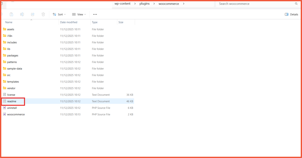 How to Check the WooCommerce Version Through Website Files